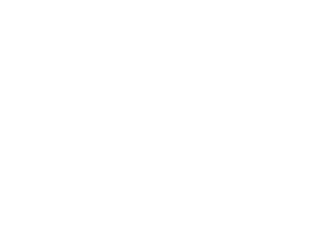 LS Services